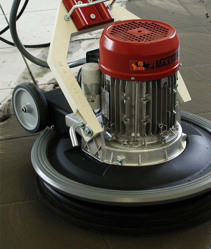 Monobrosse_Maxititina_Raimondi_3-1.jpg