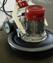 Monobrosse_Maxititina_Raimondi_3-1.jpg