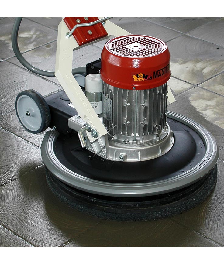 Monobrosse_Maxititina_Raimondi_2-1.jpg